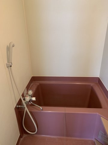 ハイネスフランセの浴室