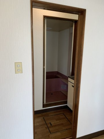 ハイネスフランセの洗面所