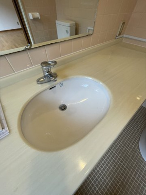 【独立洗面台】 | 第4スカイマンション