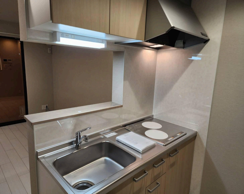 大阪府大東市南津野辺町　新築1棟売マンションのキッチン