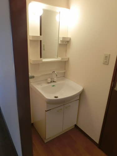 広島市南区東本浦町のアパートの洗面所|ゆったりとスペースのある洗面所