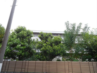 【展望】 | RUHE HAUS