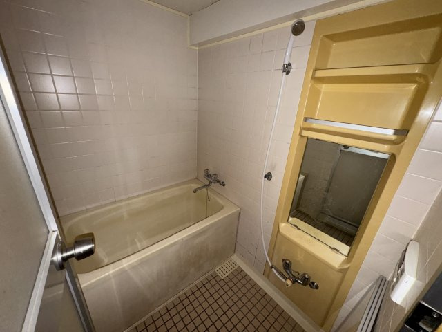－三丁目不動産-ダイアパレスリバーコート熊谷の浴室