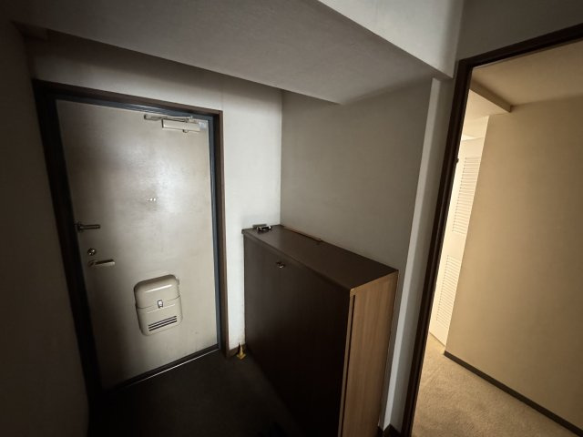 －三丁目不動産-ダイアパレスリバーコート熊谷の玄関