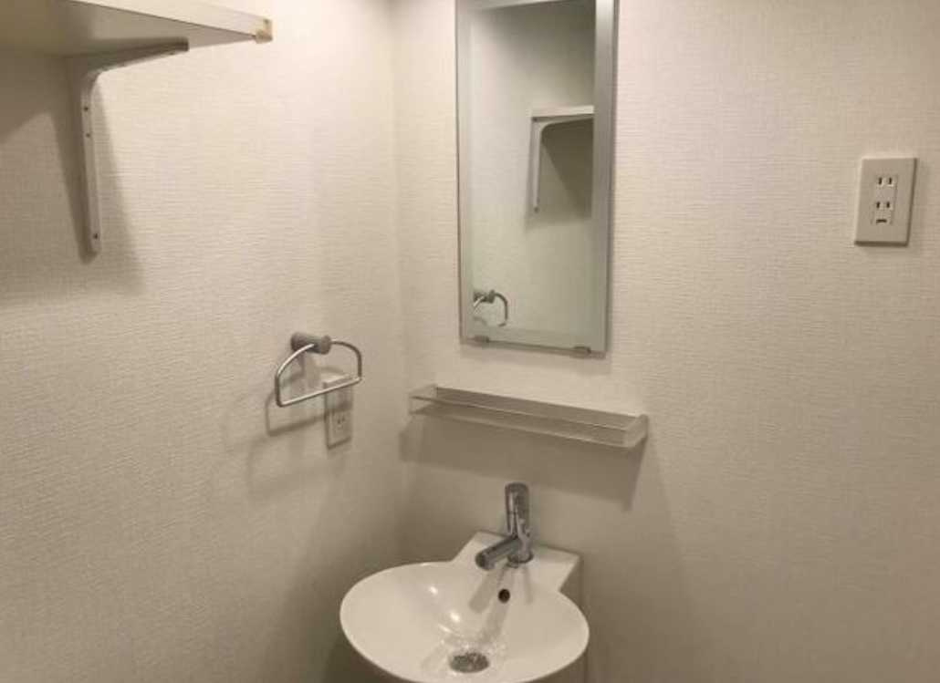 ZESTY駒沢大学Ⅱ　駅近　ネット無料　敷金０の洗面所