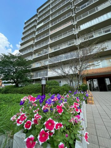 ◆室内リフォーム済◆７階南向き３LDK◆近鉄十条駅徒歩６分、地下鉄十条駅徒歩７分◆コープ野村京都南の外観|外観