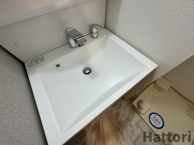 LaDouceur江坂Ⅱの洗面所