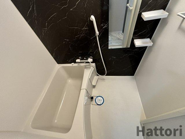 LaDouceur江坂Ⅱの浴室