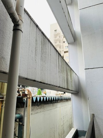 仲介手数料0円！！メゾンパール泉のバルコニー