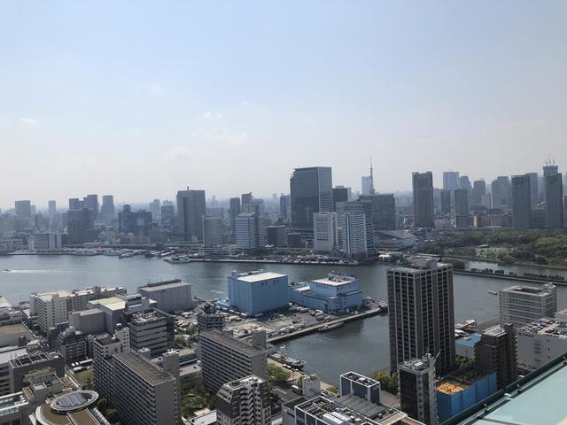 ＴＨＥ　ＴＯＫＹＯ　ＴＯＷＥＲＳ　シータワーのその他|※写真は同タイプ住戸です。