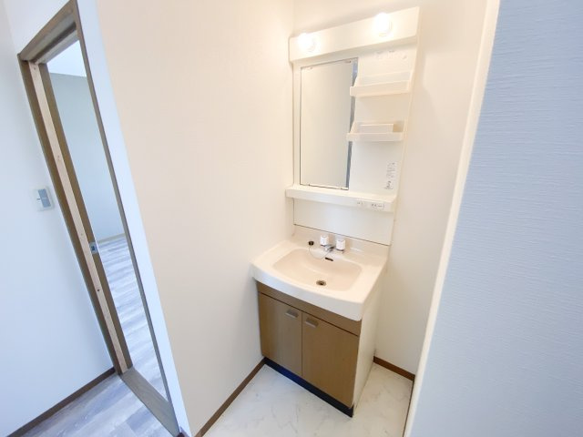 ニューリバーサイド八尾南Ｄ の独立洗面台