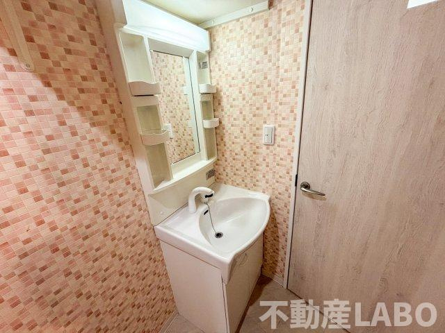 カーサイーストの洗面所