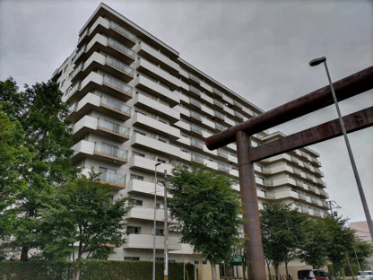 【外観】シーアイマンション円山西棟 