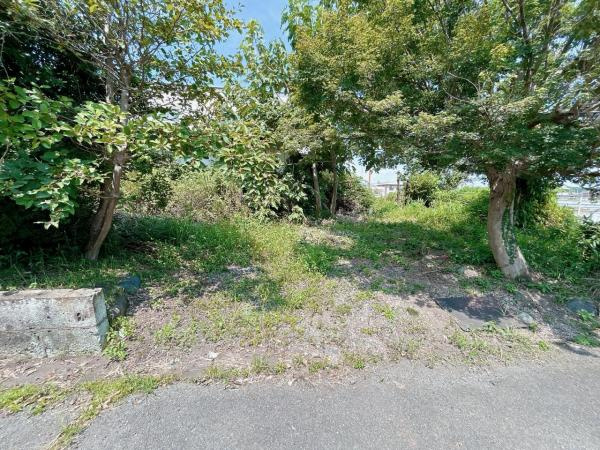 宇都宮市中里町　3ＬＤＫ　中古住宅の庭