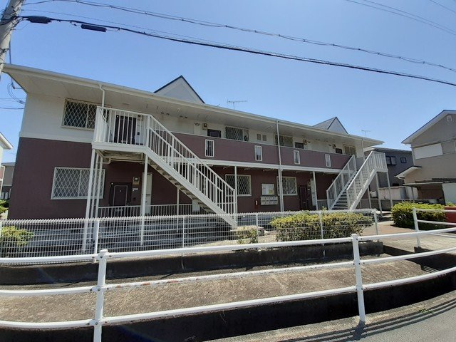 クリサンテ・ピーヌスＢ