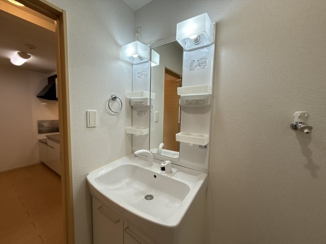 ファミールハイムの洗面所