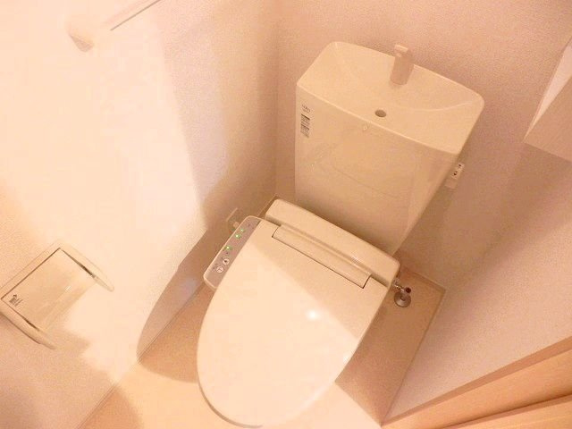 カトレヤのその他