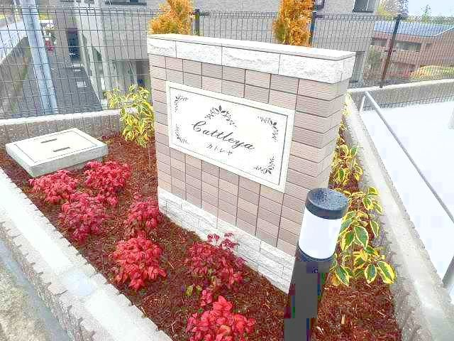 カトレヤのその他