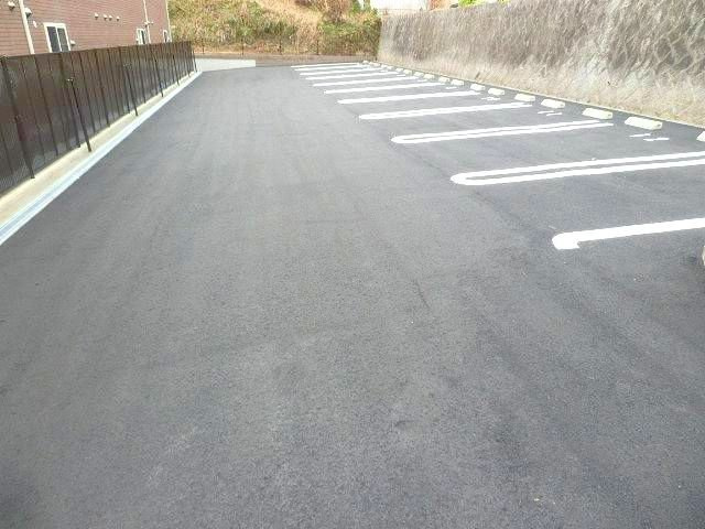 カトレヤのその他