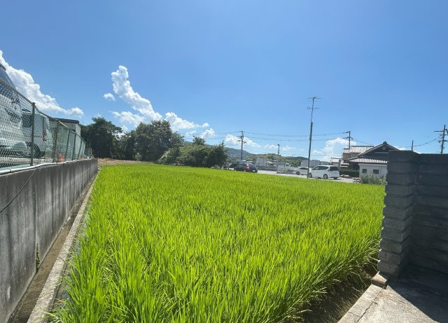 岸和田市稲葉町土地の外観|現地写真②