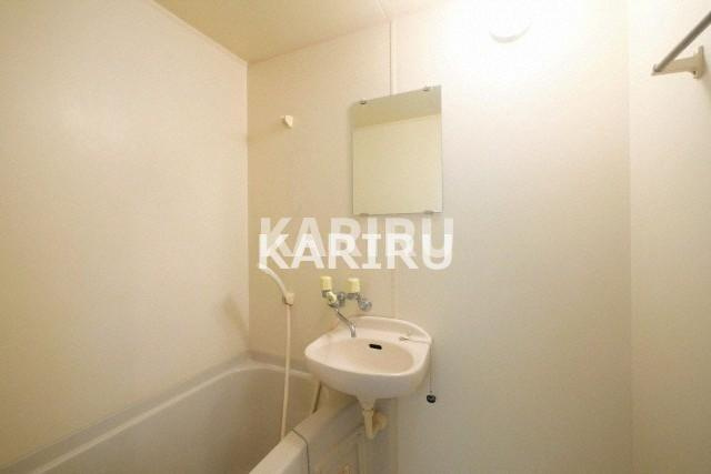 ベル・ビュー横堤の洗面所