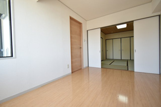 【その他】 | プラトー星