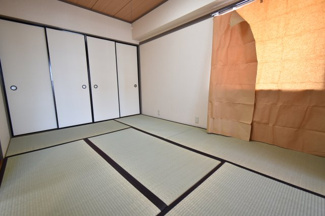 【その他】 | プラトー星