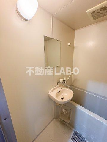 ステイトリー川口屋の洗面所
