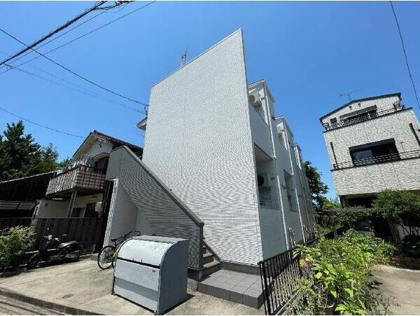 ルミエール　黄金(ルミエールコガネ)