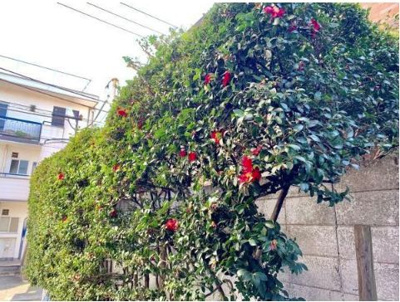 【その他】 | グリーンヒル