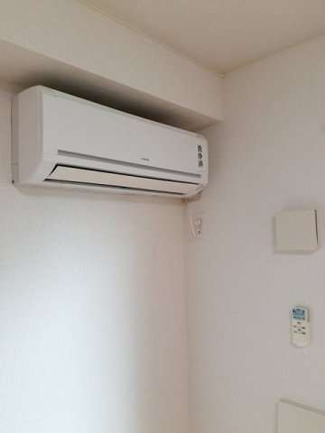 カザミラのその他