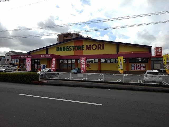 カザミラの周辺|ドラッグストアモリ東合川店まで800m