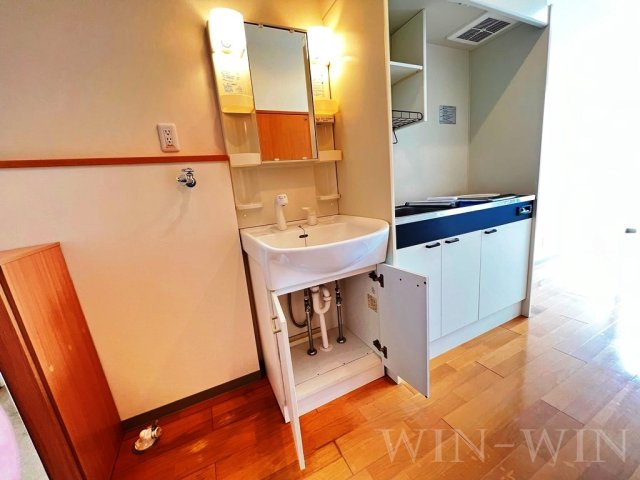 カーサフォルトゥーナの洗面所