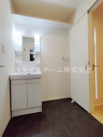 プレミアス向山の洗面所