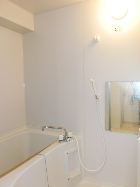 大阪市中央区安堂寺町２丁目の賃貸マンションの浴室