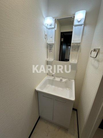 グランパシフィック今里南 の洗面所