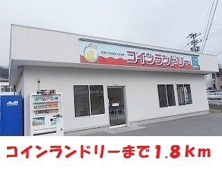 Ｐｅａｃｅの周辺|コインランドリーまで1800m