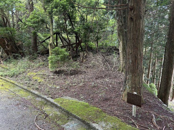 【外観】 | 東急天城高原別荘地　売地
