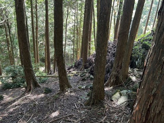 【外観】 | 東急天城高原別荘地　売地