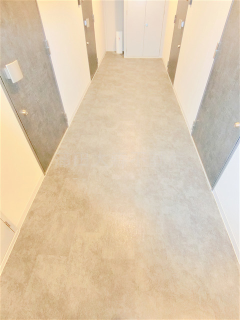 ディアレイシャス平和島のその他共用部分|共用廊下