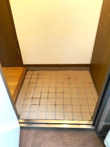 レナジア陽東A棟の玄関