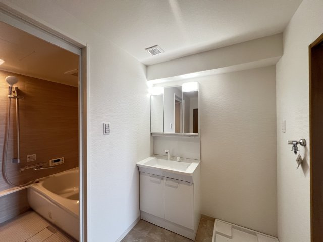 ダイアパレス大和八木3階の独立洗面台