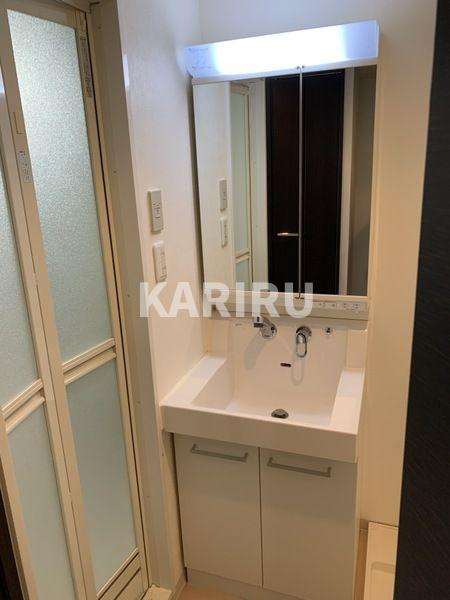 クレアート北大阪レヴァンテの洗面所