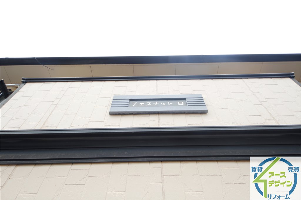 チェスナットの外観