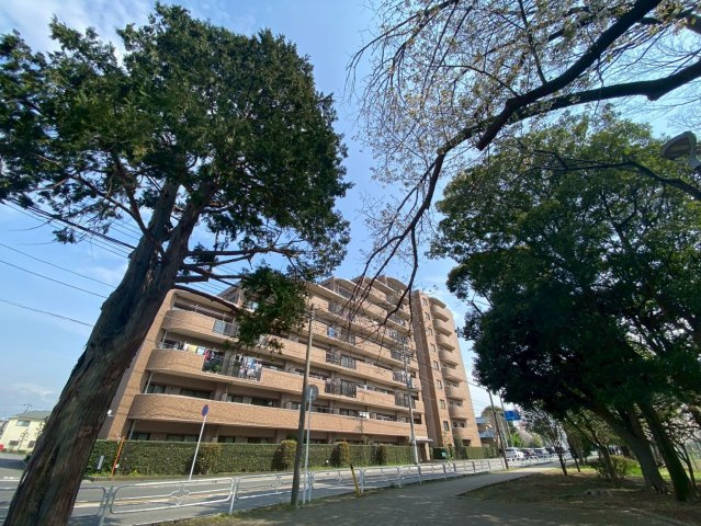 ネオハイツ船橋薬円台公園の居間・リビング