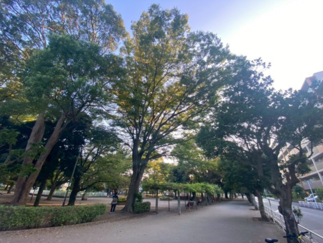 【周辺】 | ネオハイツ船橋薬円台公園 | 公園が目の前