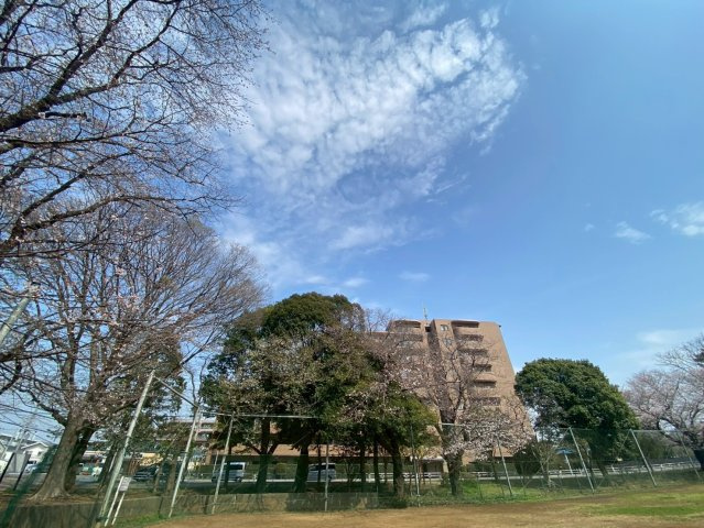 ネオハイツ船橋薬円台公園の浴室