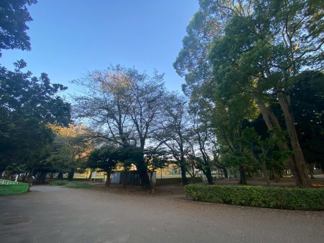 【その他】 | ネオハイツ船橋薬円台公園