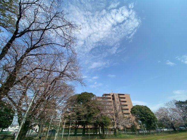 ネオハイツ船橋薬円台公園の浴室