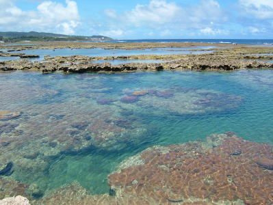 【周辺】 | 八重瀬町具志頭（全11棟）10号棟 | お魚いっぱい玻名城の郷ビーチまで1.9km♪
